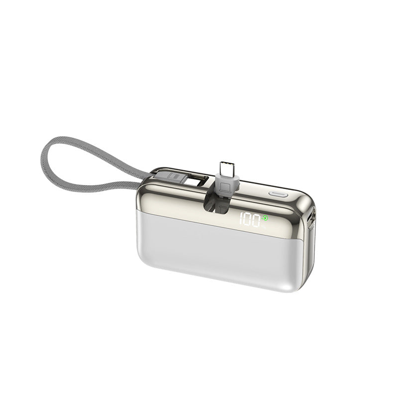 Taschenladegerät Skanto