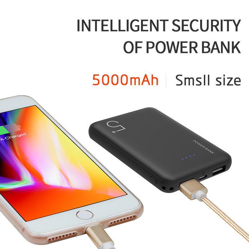 Hochleistungs-Powerbank mit Dual-USB-Anschluss und intelligenter Ladeerkennung Skanto