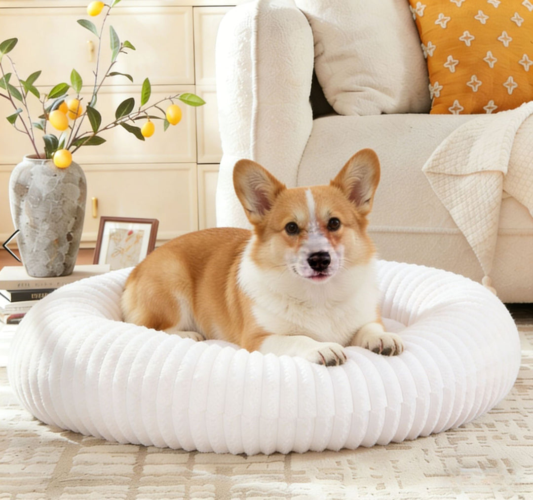 Stilvolles rundes Hundebett