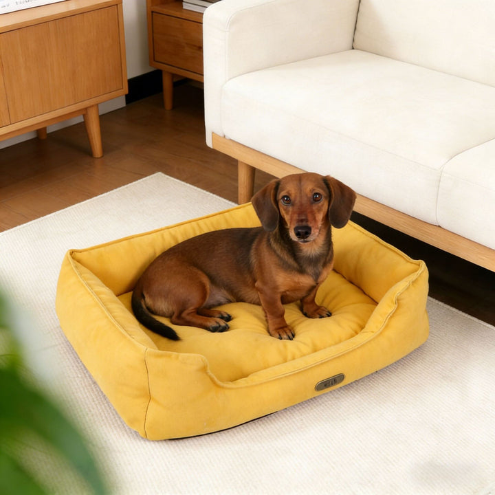 Orthopädisches, stützendes Hundebett