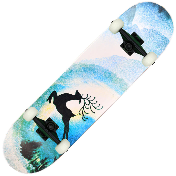 Skateboard Skanto