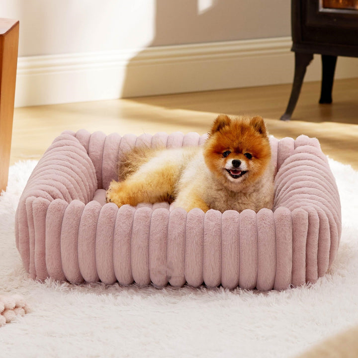 Luxuriöses Verstärktes Lounge-Hundebett