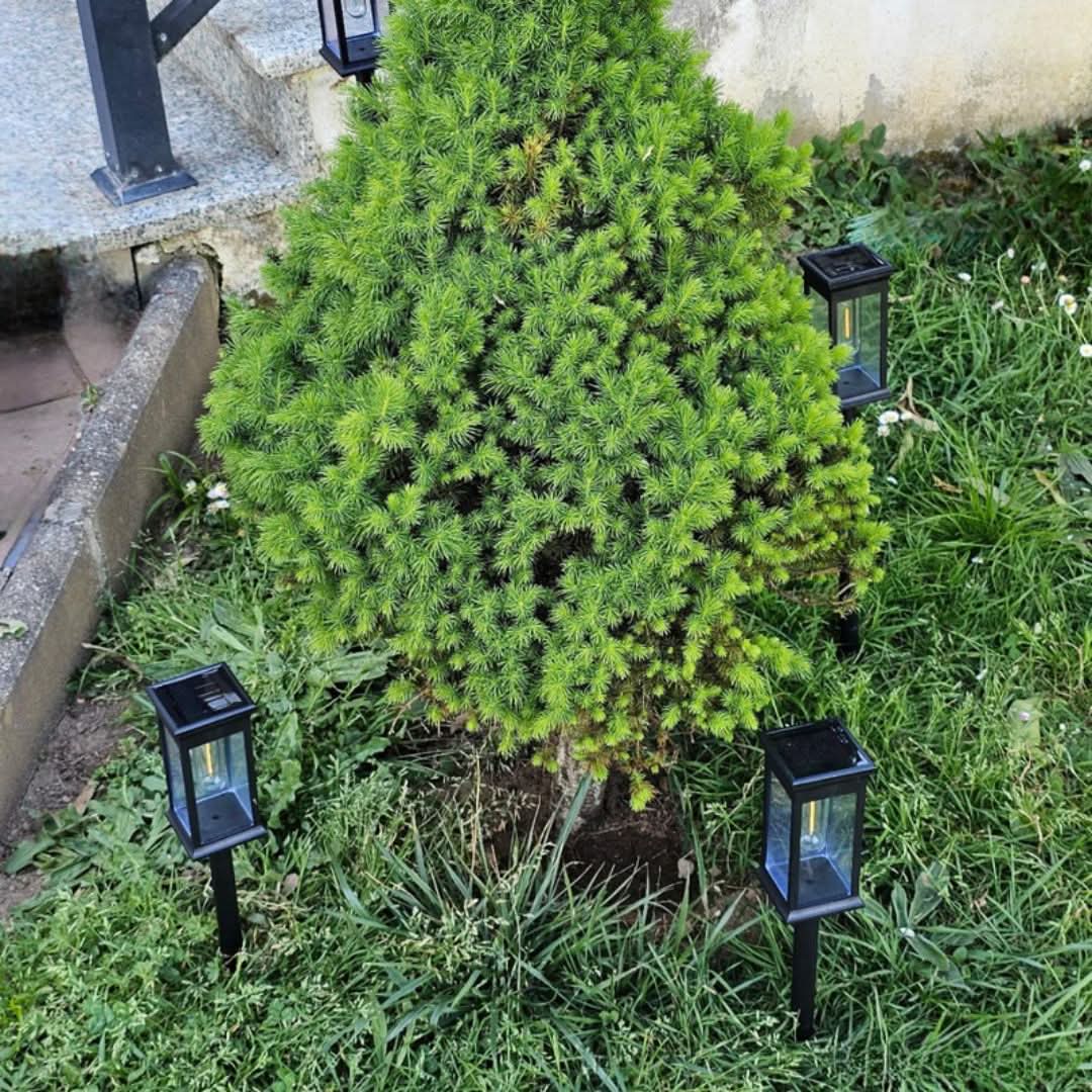 Skanto | Kabellose Solar-Gartenleuchte – GlowPath
