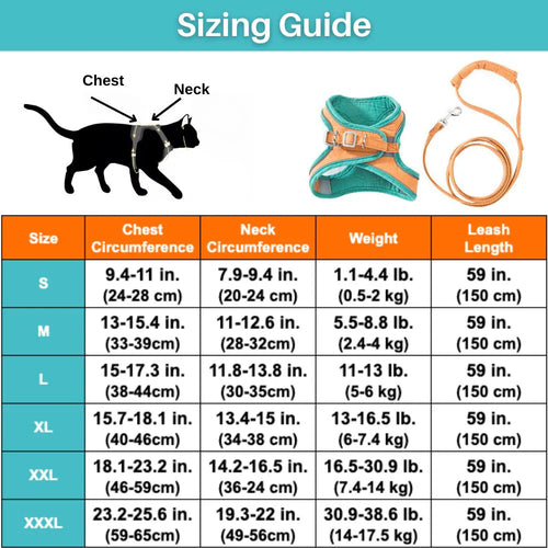 Katzengeschirr – Sicher und bequem für Outdoor-Abenteuer Skanto