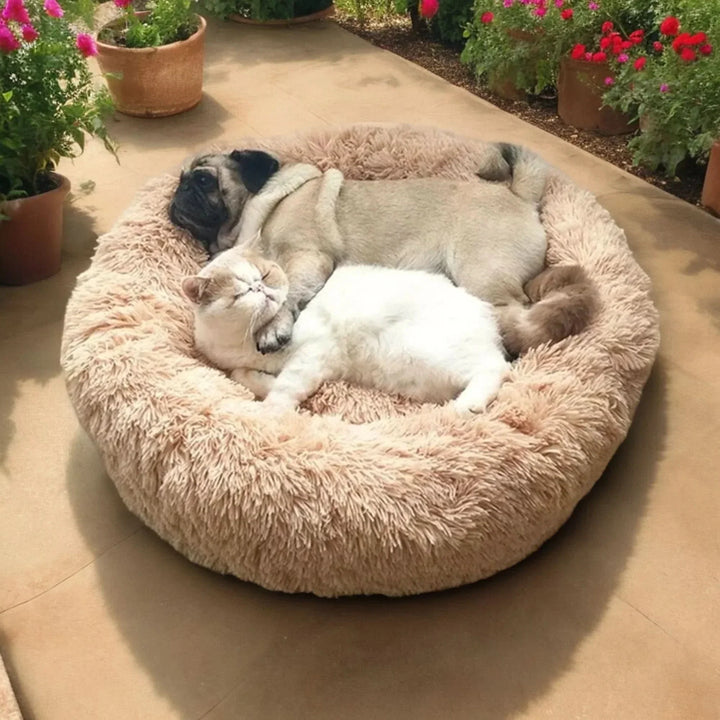 Skanto | RelaxPaw Komfortbett – Superweich & beruhigend für Ihren Liebling