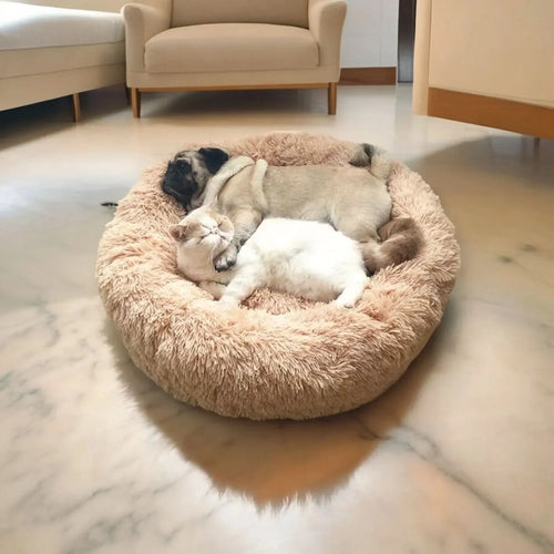Skanto | RelaxPaw Komfortbett – Superweich & beruhigend für Ihren Liebling