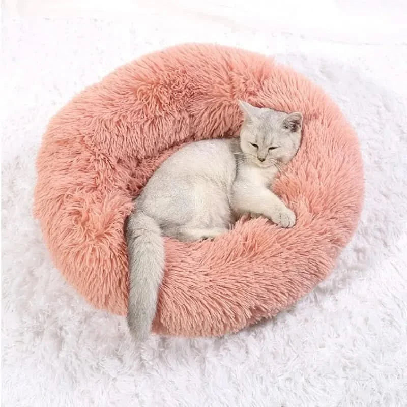 Skanto | RelaxPaw Komfortbett – Superweich & beruhigend für Ihren Liebling