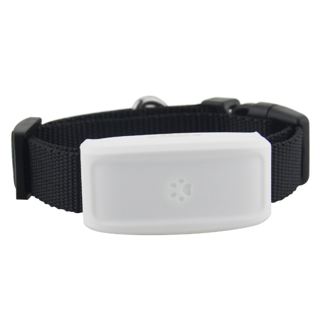 GPS-Halsband für Haustiere
