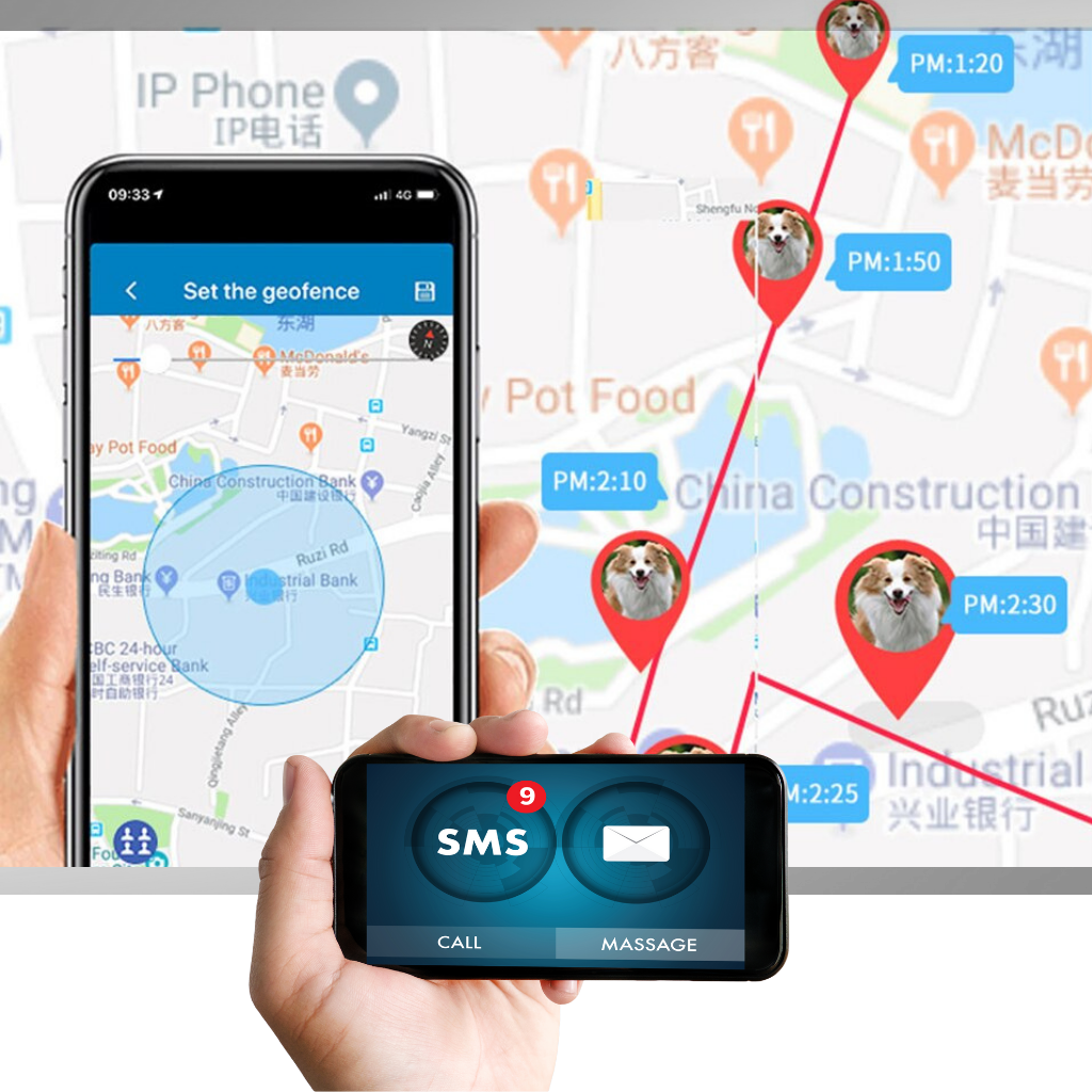 GPS-Halsband für Haustiere
