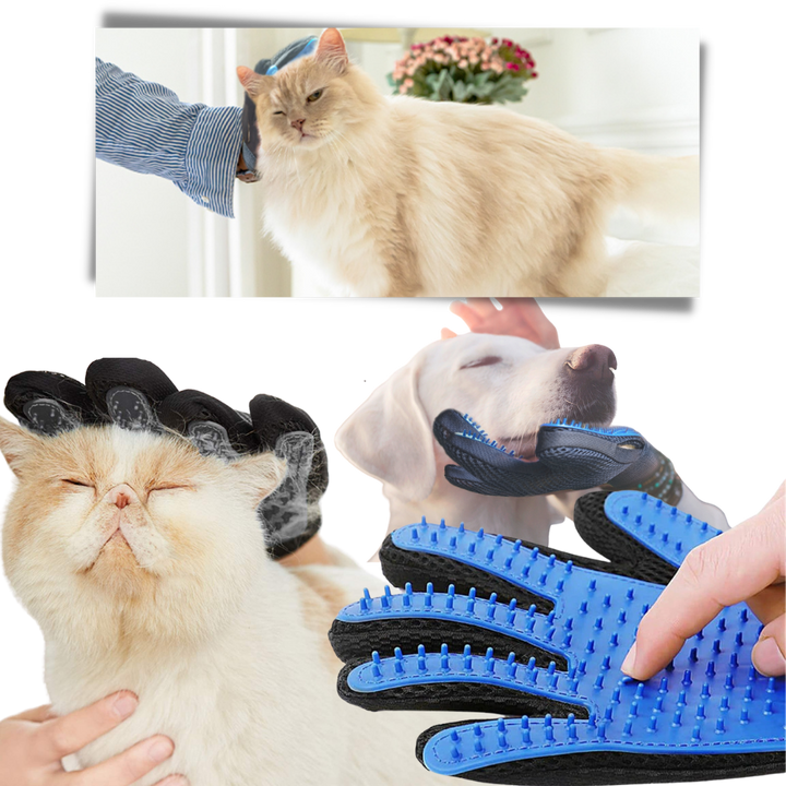 Tierpflegehandschuhe (Paar)