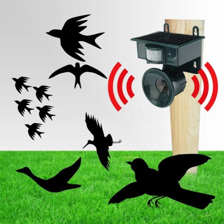 Skanto | TerraGuard – Wetterfester Solar-Vogelschreck mit PIR-Bewegungssensor und natürlicher Klangabschreckung