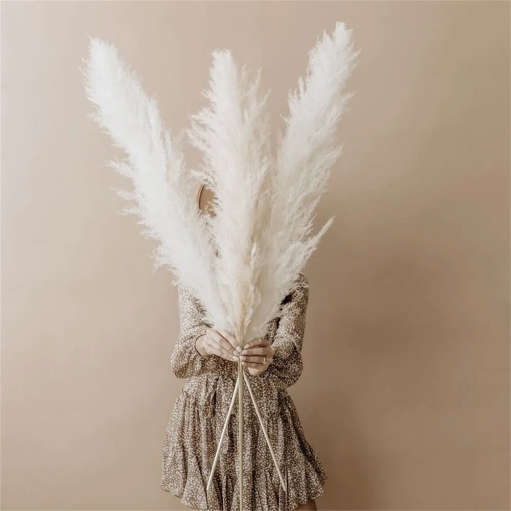 Skanto | FeatherFawn - Getrocknetes Pampasgras