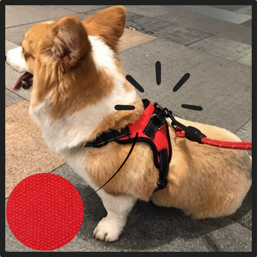 Reflektierendes, verstellbares Hundegeschirr