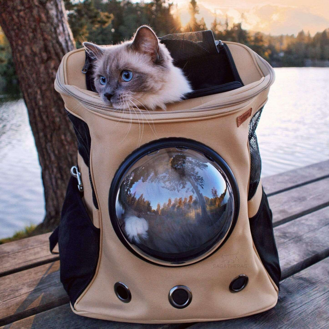 Skanto | PurrVenture Rucksack – Tragbare Haustiertragetasche für Katzen und kleine Haustiere