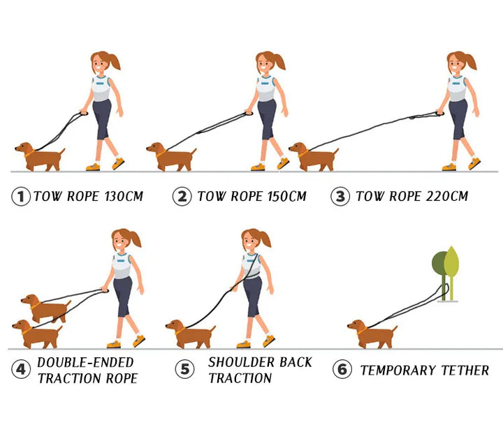 FreedomLeash – Innovative Freihand-Hundeleine Skanto
