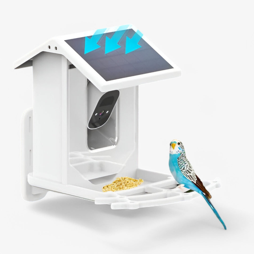 Skanto | Auxco | Intelligentes Vogelhaus mit 1080P HD-Kamera, KI-Vogel-Erkennung & Solarladung