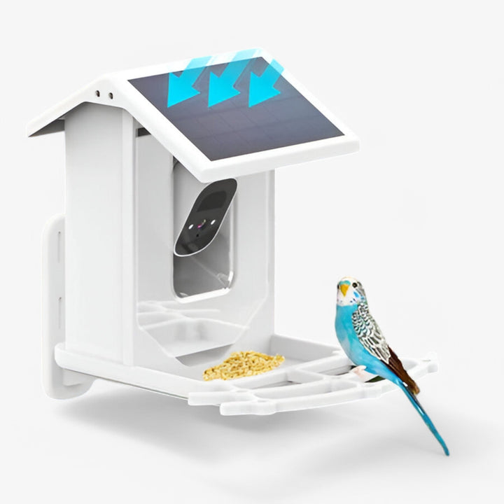 Skanto | Auxco | Intelligentes Vogelhaus mit 1080P HD-Kamera, KI-Vogel-Erkennung & Solarladung