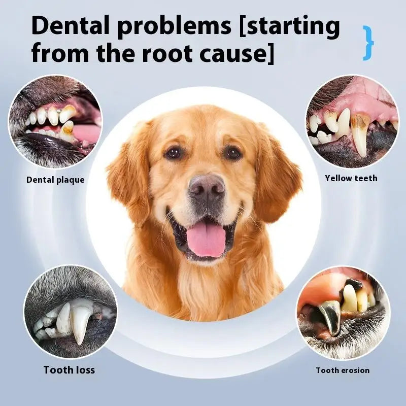 Skanto | DentoraSonic | Ultraschall-Zahnpflegegerät für Hunde und Katzen | 5-Stufen Zahnsteinentferner | USB-Laden