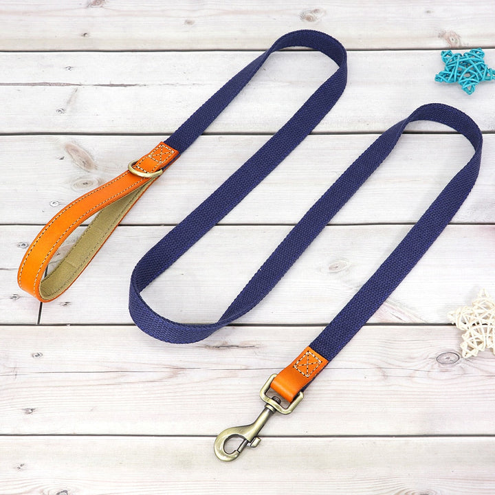 Skanto | Individuelles Hundehalsband- und Leinen-Set