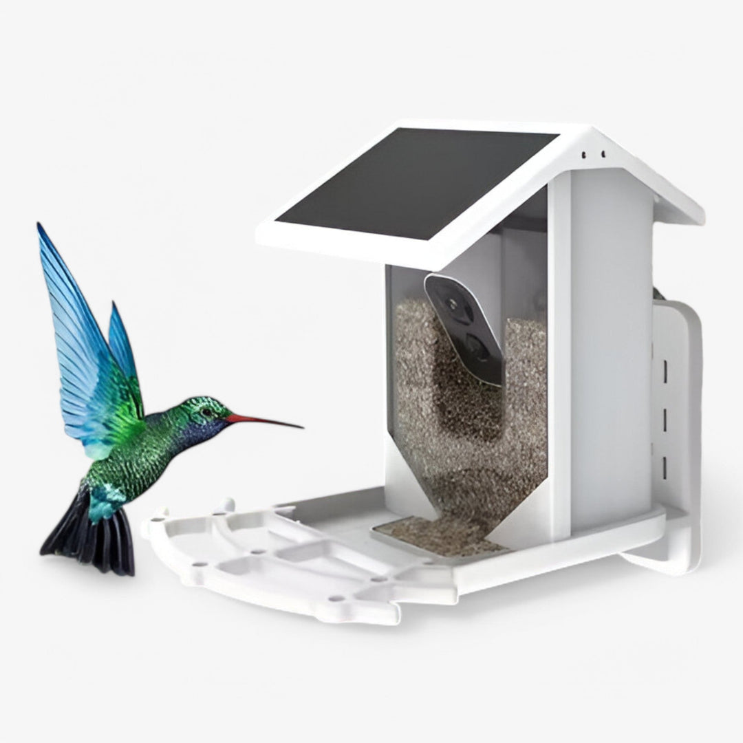 Skanto | Auxco | Intelligentes Vogelhaus mit 1080P HD-Kamera, KI-Vogel-Erkennung & Solarladung
