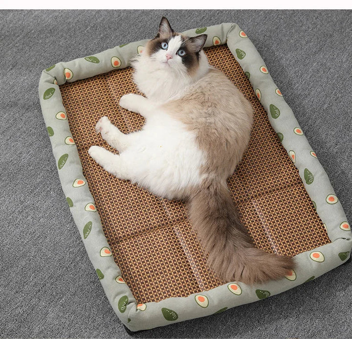 Skanto | Kühlmatte für Katzen und kleine Hunde