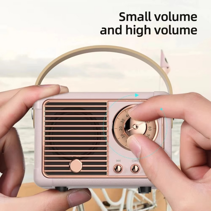 Skanto | Kabelloser Bluetooth-Lautsprecher im Vintage-Stil mit Subwoofer