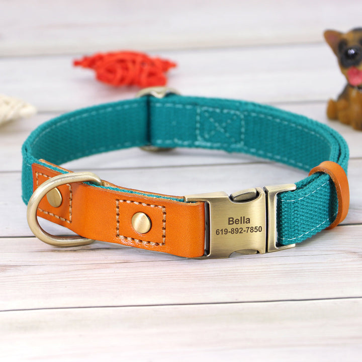 Skanto | Individuelles Hundehalsband- und Leinen-Set