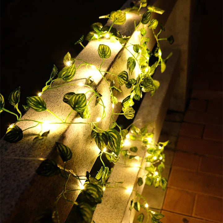 Skanto | Skanto LED-Lichterketten