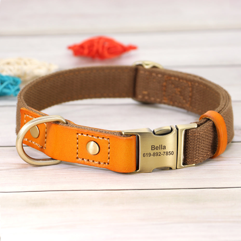 Skanto | Individuelles Hundehalsband- und Leinen-Set