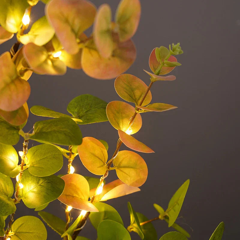 Skanto | Holzlampe mit abnehmbarem Sockel