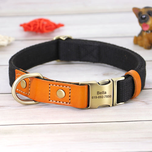 Skanto | Individuelles Hundehalsband- und Leinen-Set