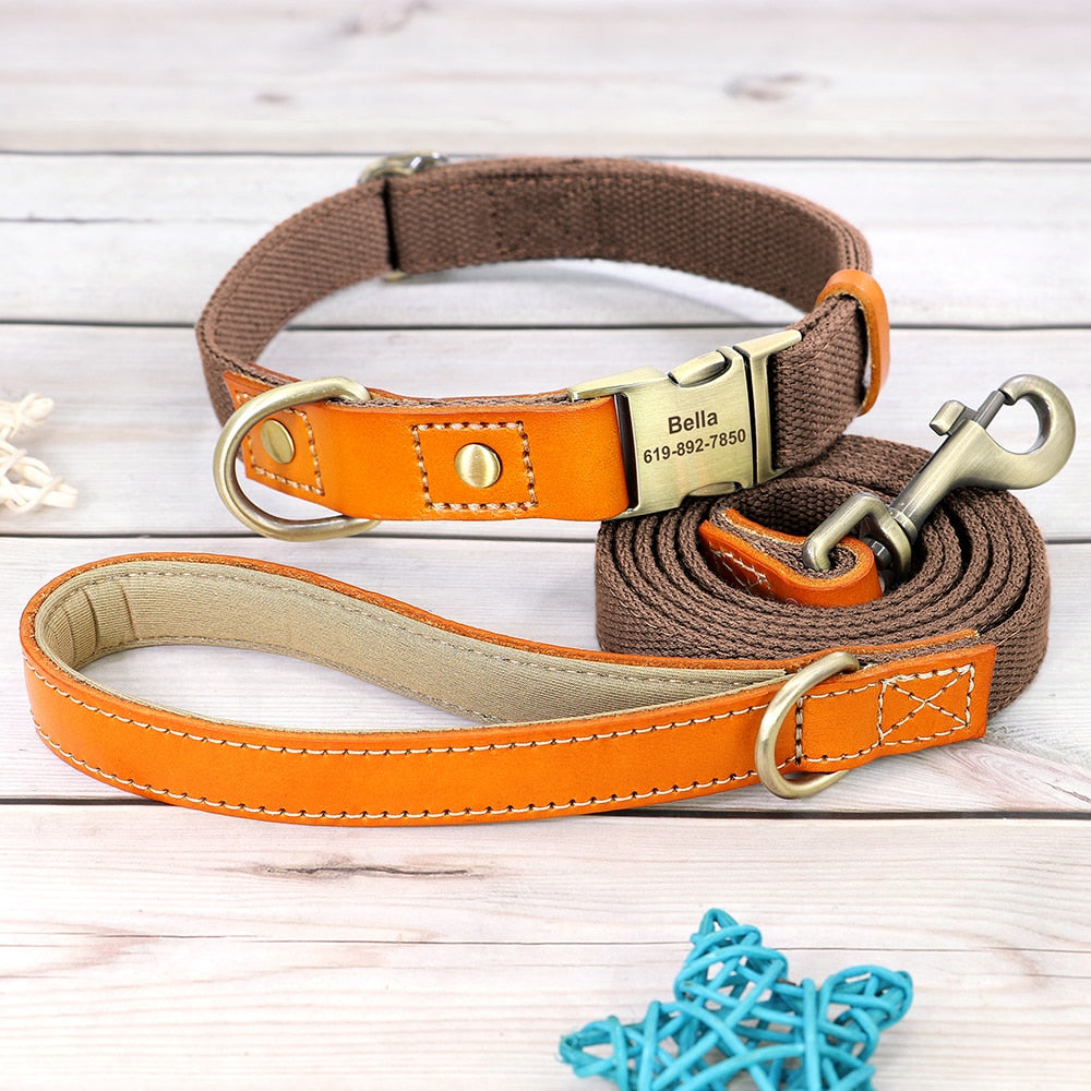 Skanto | Individuelles Hundehalsband- und Leinen-Set