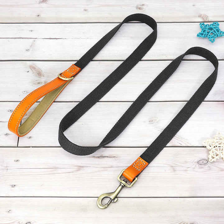 Skanto | Individuelles Hundehalsband- und Leinen-Set