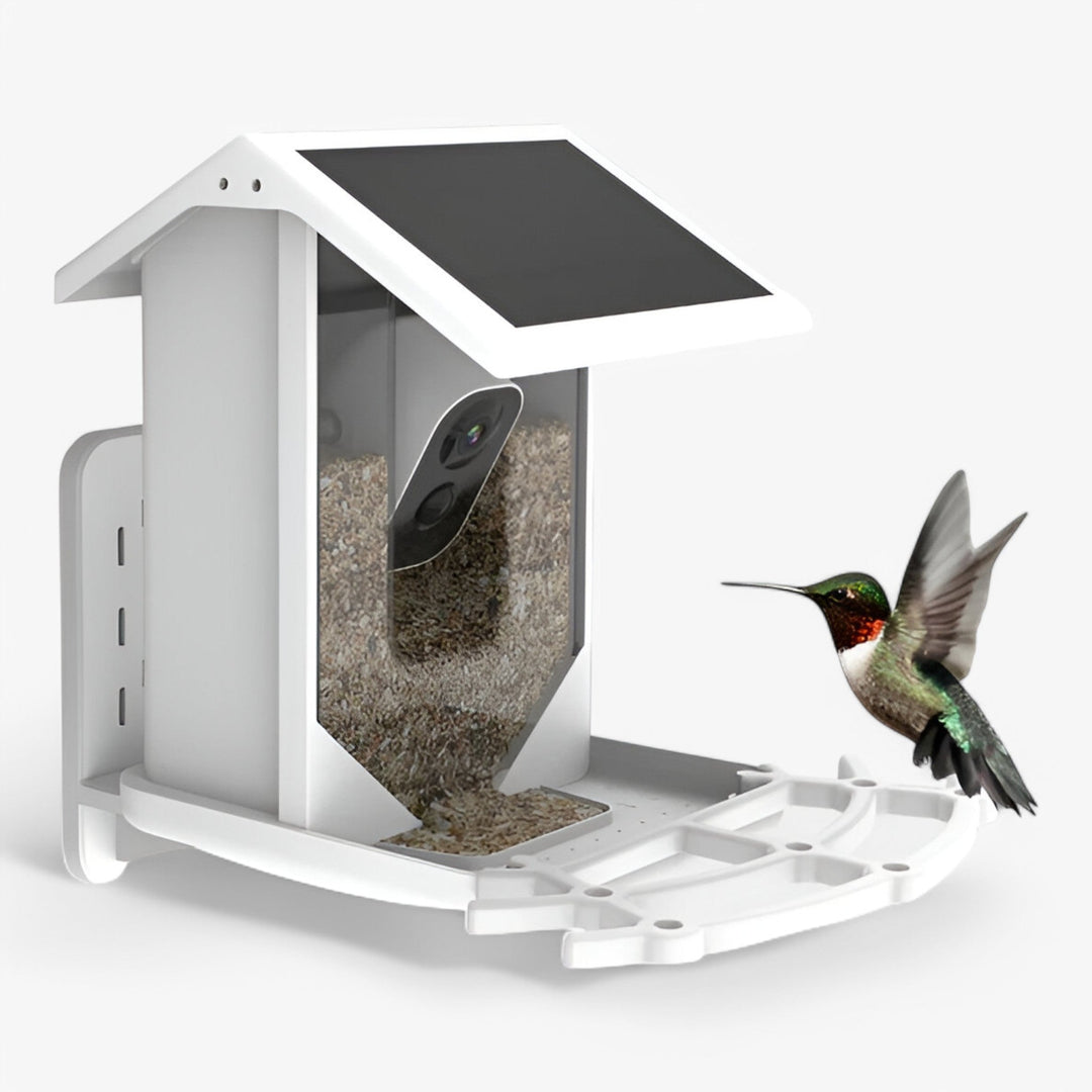 Skanto | Auxco | Intelligentes Vogelhaus mit 1080P HD-Kamera, KI-Vogel-Erkennung & Solarladung