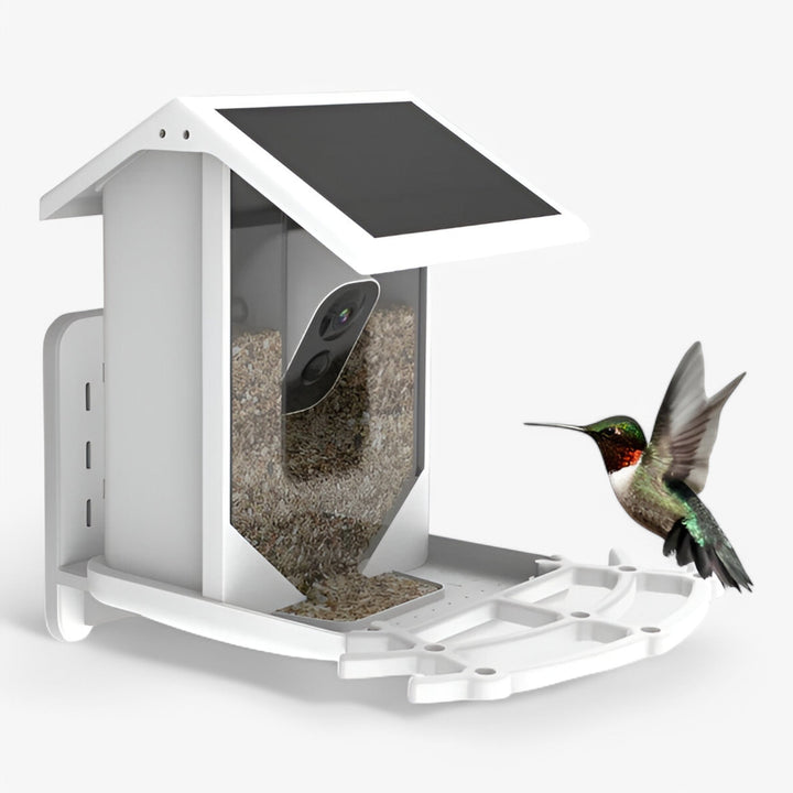 Skanto | Auxco | Intelligentes Vogelhaus mit 1080P HD-Kamera, KI-Vogel-Erkennung & Solarladung