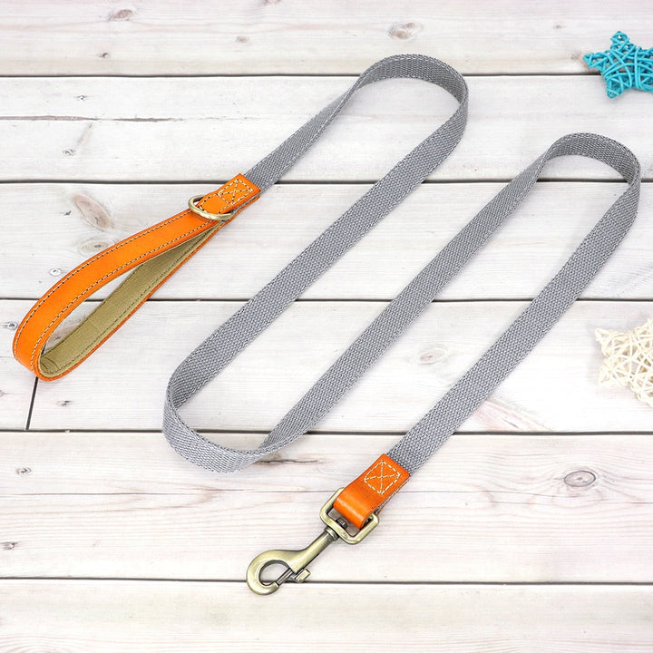 Skanto | Individuelles Hundehalsband- und Leinen-Set