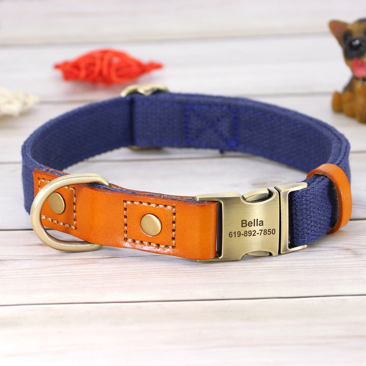 Skanto | Individuelles Hundehalsband- und Leinen-Set