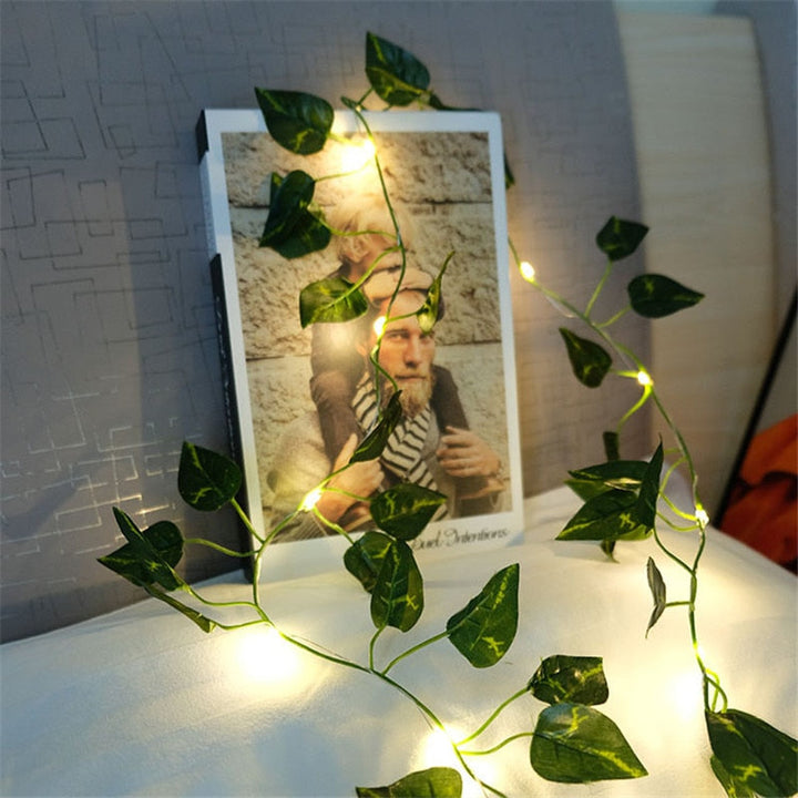 Skanto | Skanto LED-Lichterketten