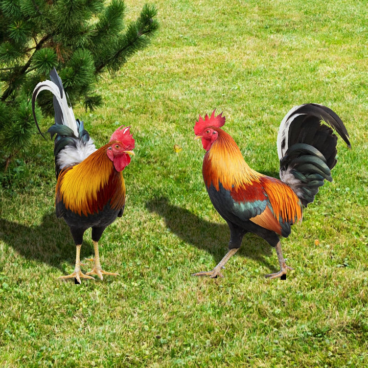 Skanto | Gartenfigur: Gefiederte Schönheit
