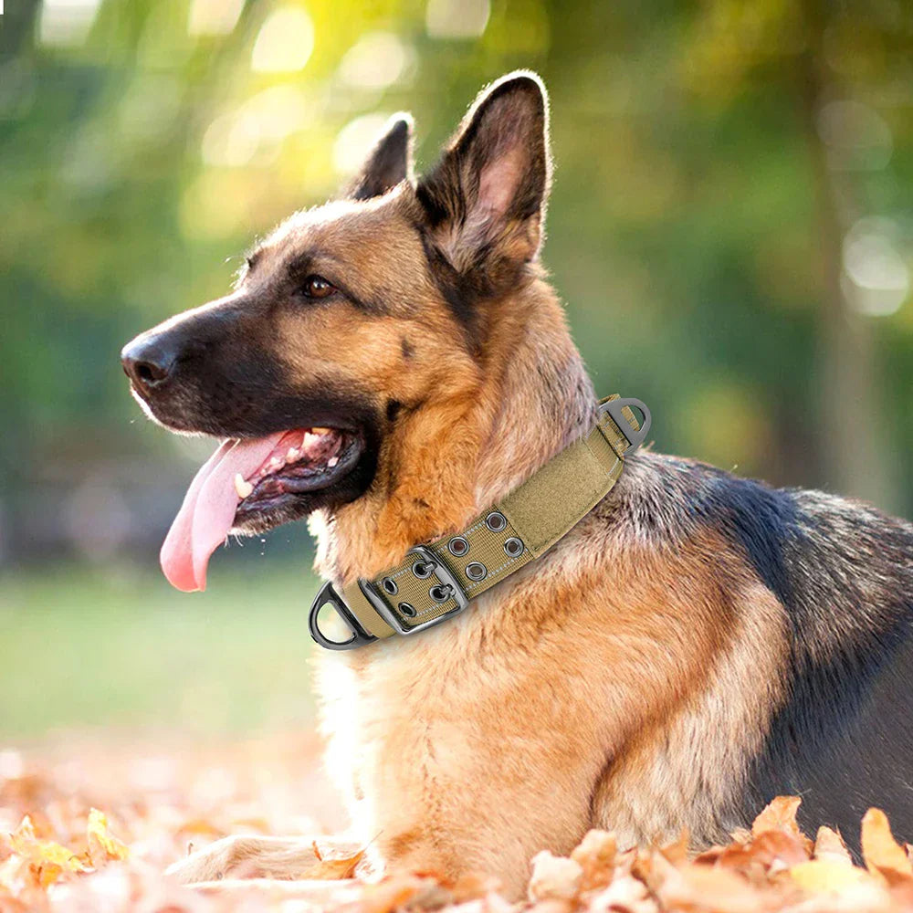 Skanto | Militär-Hundehalsband