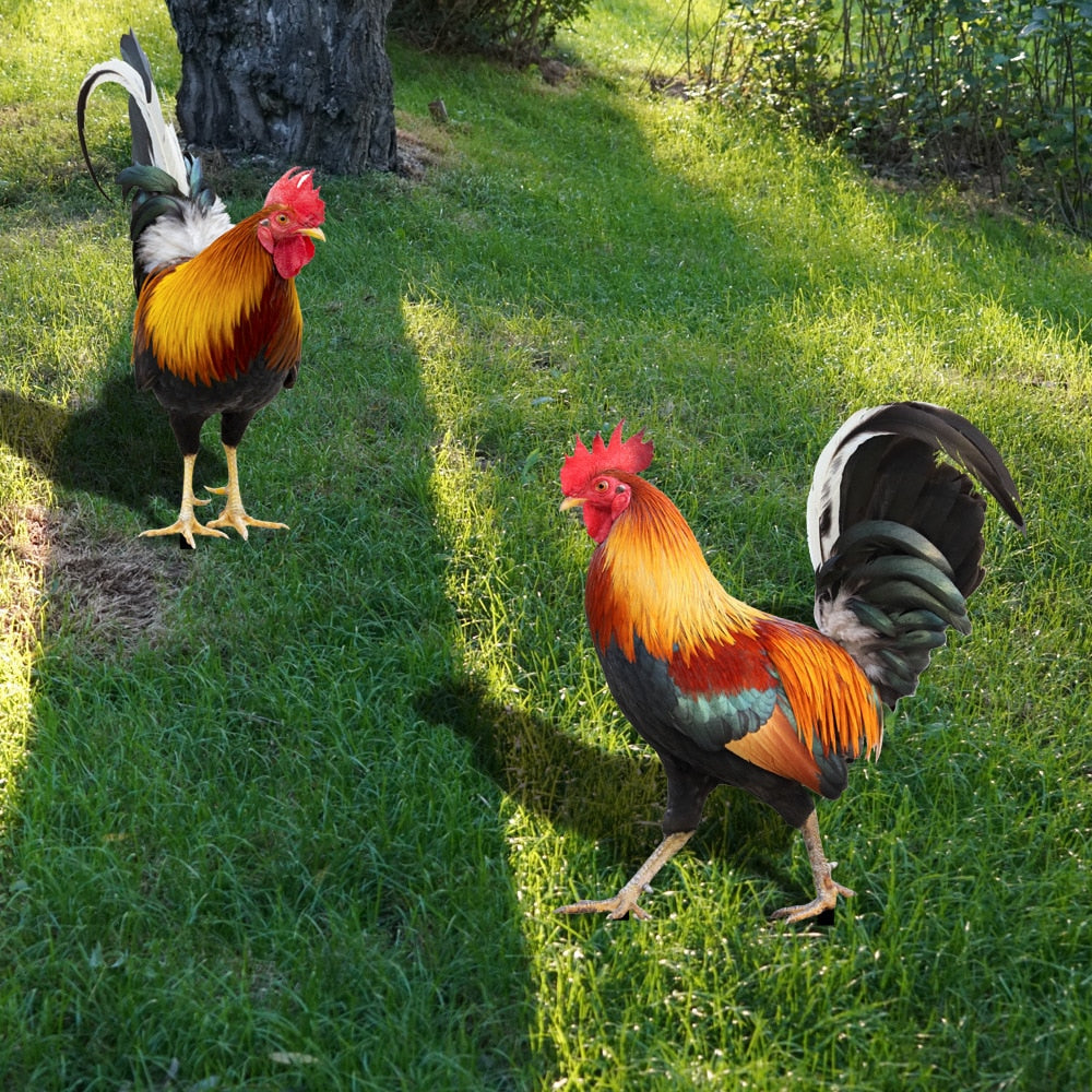 Skanto | Gartenfigur: Gefiederte Schönheit