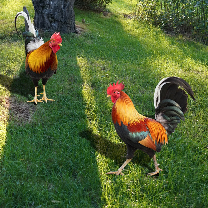 Skanto | Gartenfigur: Gefiederte Schönheit