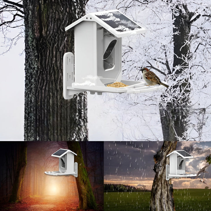 Skanto | Auxco | Intelligentes Vogelhaus mit 1080P HD-Kamera, KI-Vogel-Erkennung & Solarladung