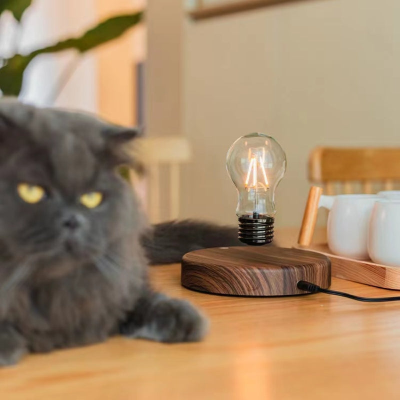 Skanto | MagnaGlow Schwebende Perlenlampe