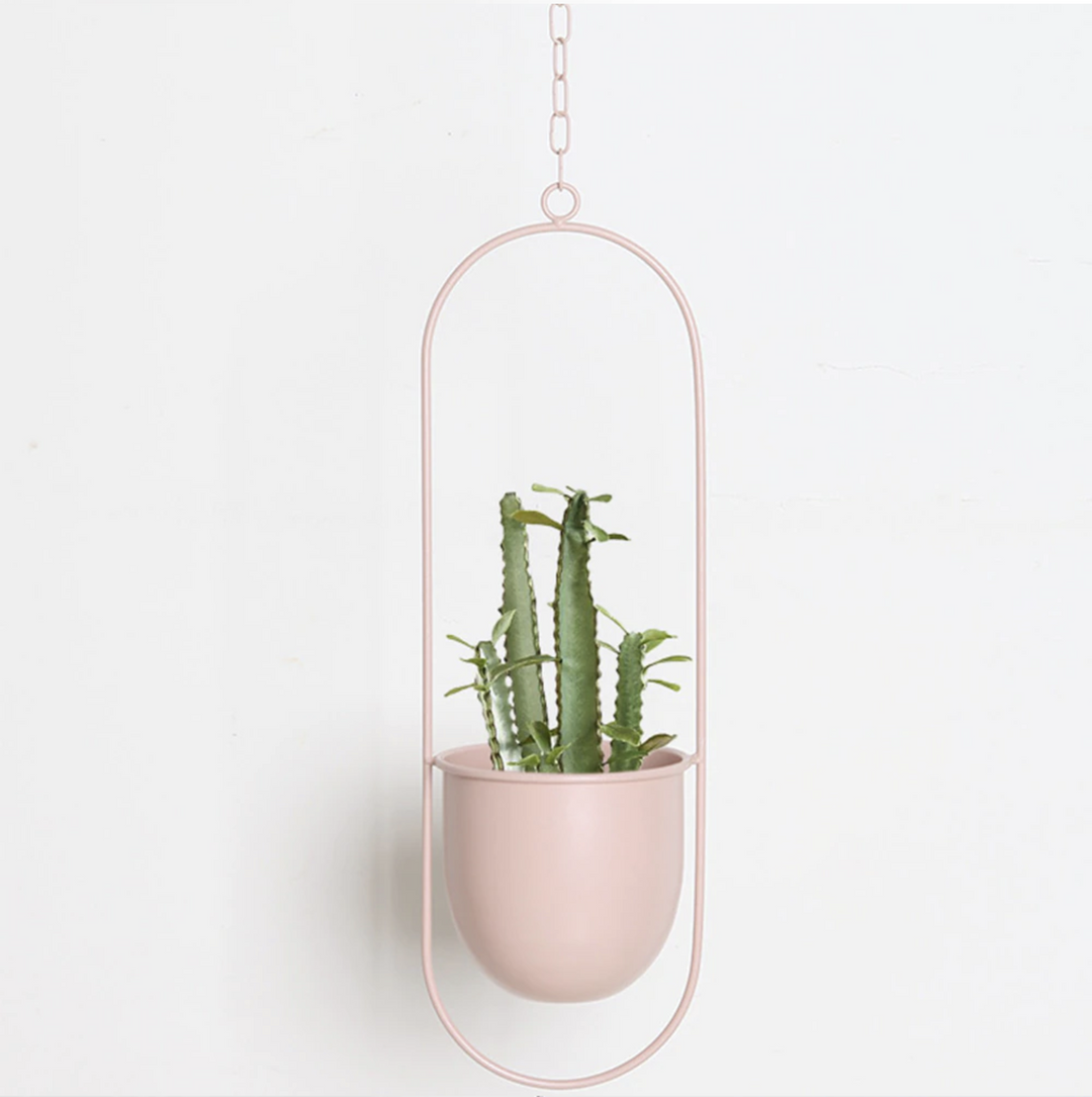 Skanto | FloraFrame – Eleganter Pflanzenhalter aus Metall für Wand oder Decke