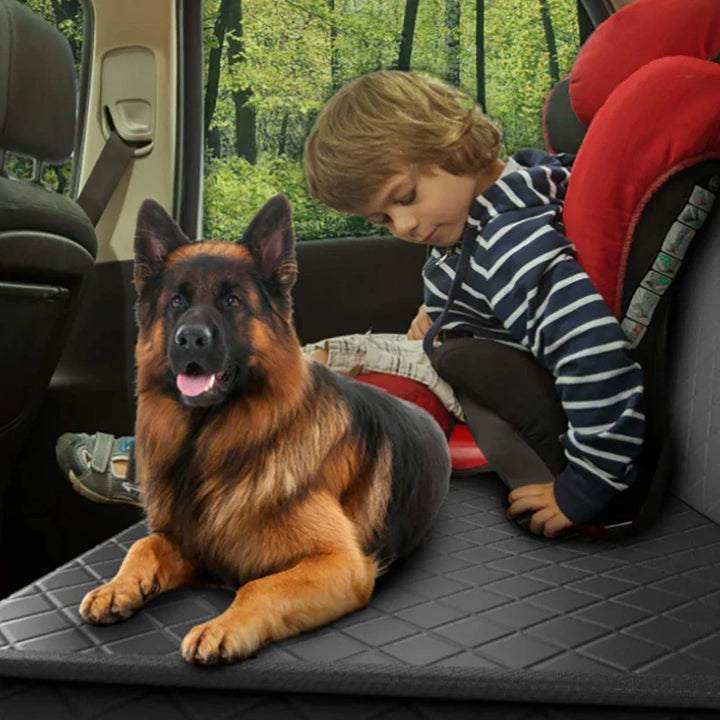 Skanto | Autositzbezug für Hunde