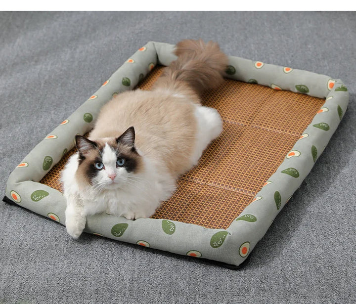 Skanto | Kühlmatte für Katzen und kleine Hunde