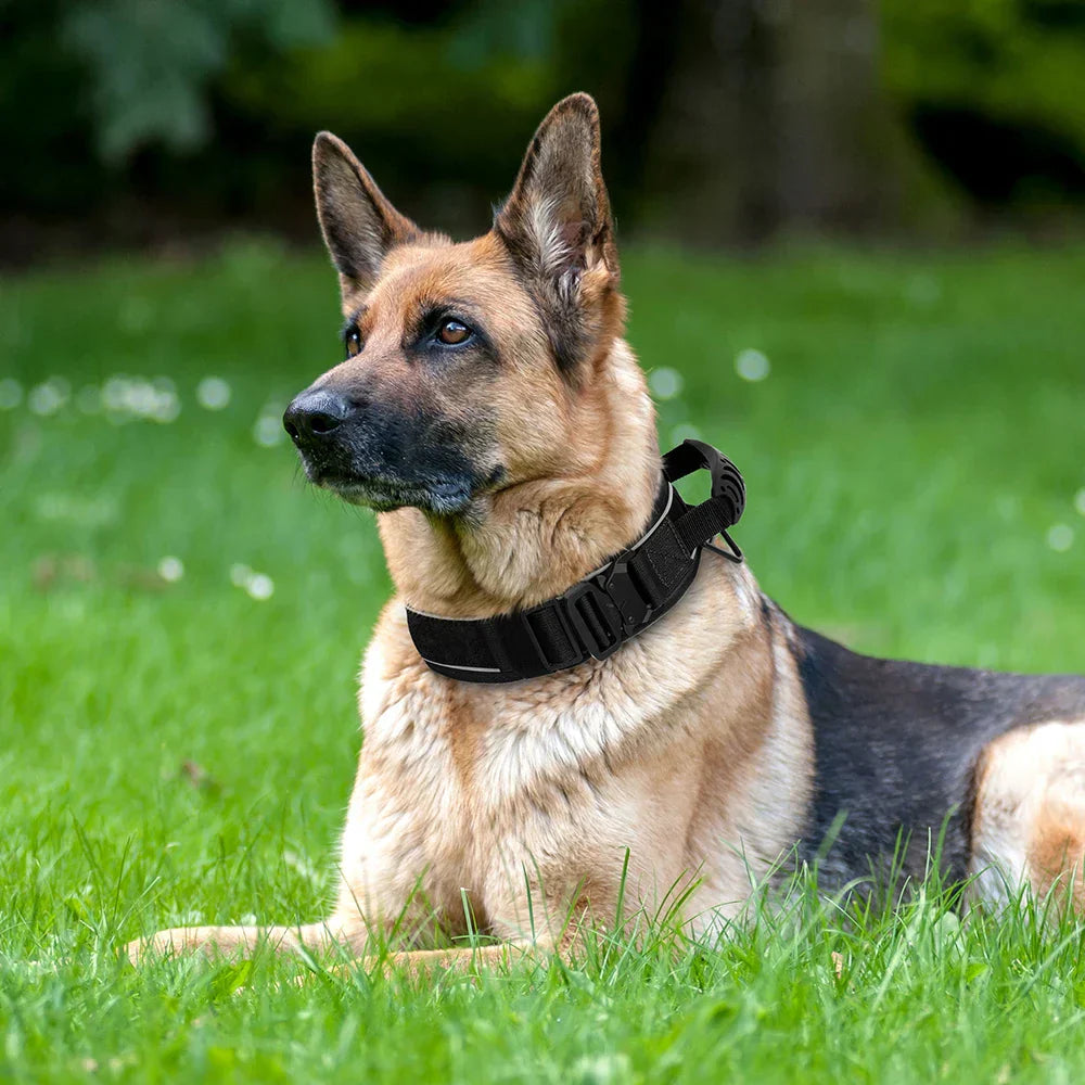 Skanto | Militär-Hundetrainingshalsband – Robustes, reflektierendes Nylonhalsband