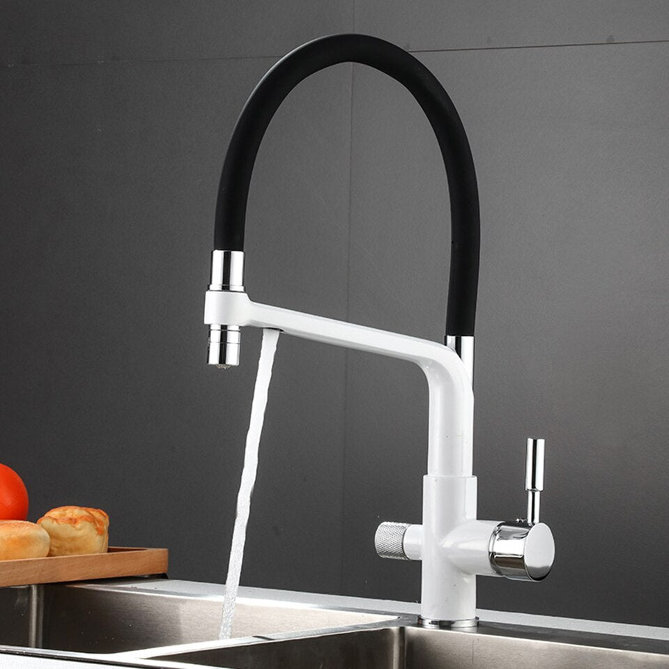 Skanto | Doppel-Auslauf Trinkwasserhahn Filter-Küchenarmaturen