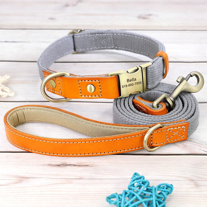 Skanto | Individuelles Hundehalsband- und Leinen-Set